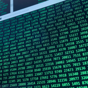 Become a professional ethical hacker